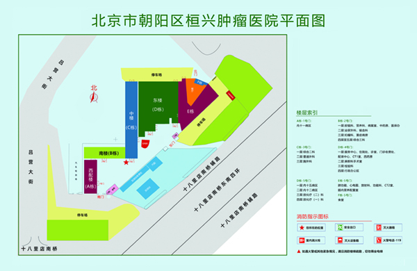 可爱摸逼到操死你视频北京市朝阳区桓兴肿瘤医院平面图